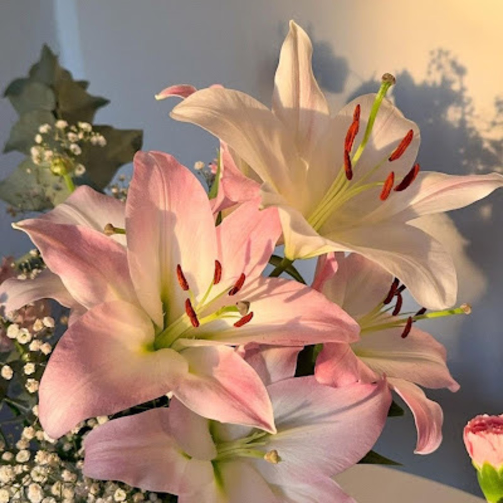 Meet your Posher, Allison